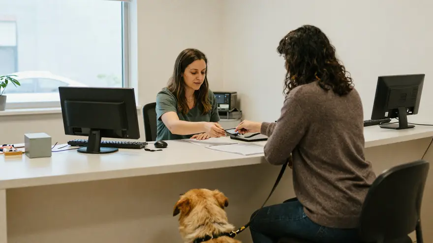 A calm reception desk at a general vet clinic where an owner is paying at the counter during the day