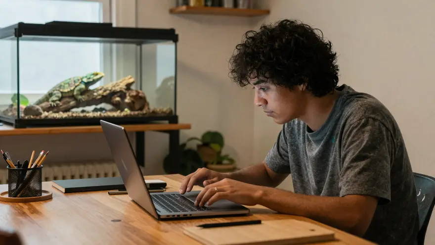 A pet owner searching for a local exotic vet on a laptop at the kitchen table with a reptile enclosure behind