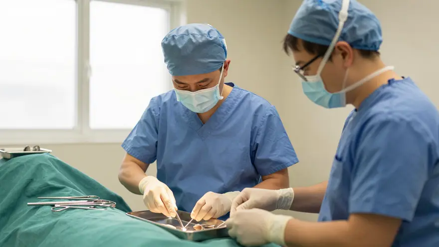 A veterinary surgeon and nurse preparing carefully in a clean, well-equipped operating area