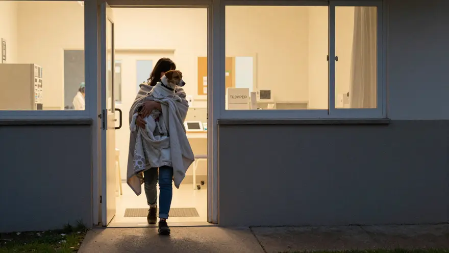 Arriving at a lit clinic doorway in the evening carrying a dog wrapped in a blanket